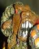 14 - King Ping