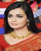 8 - Dia Mirza