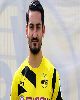 21 - Gundogan
