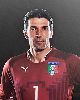 1 - Buffon