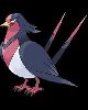 5 - Swellow2
