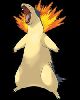 6 - Typhlosion2