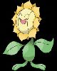 3 - Sunflora2