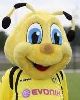 20 - BVB