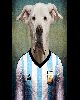 5 - Care perro