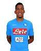 5 - Allan