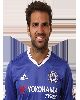 17 - Cesc fabregas