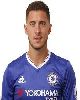 8 - Hazard