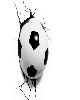  - ZZ AUTOGOL