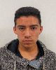 2 - FLORES NICOLAS SAUL