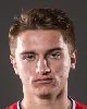 14 - D. Mihailovic