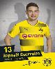 13 - Raphael Guerreiro