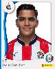 15 - Jesus Sanchez