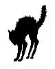 2 - ♧ Opt | alanicoツ