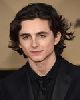 13 - Timothée Chalamet