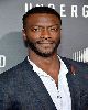 9 - Aldis Hodge