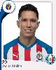 6 - J. Molina