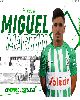 12 - Miguel martin