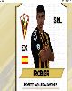 15 - Rober
