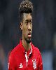 29 - Coman