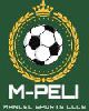 11 - manuel