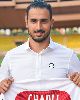 25 - Nacer Chadli
