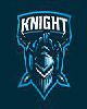  - Knight