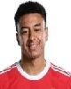 14 - J. Lingard
