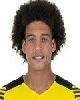 28 - T. Witsel