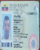 06 - LUIS ALBERTOPIGUAVE HOLGUIN