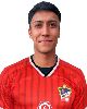 17 - Ignacio Alfredo Morales Oyarce