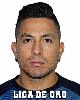 13 - ORNELAS DALIER