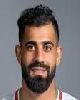 13 - Hossein Kanani
