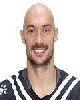 13 - Dmitrovic (P)