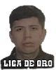 17 - GUZMAN BRYAN