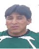 4 - DAVID ALFARO LIMACHI