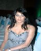 3 - Brinda Parekh