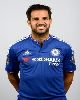  - Cesc Fàbregas