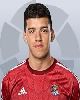 13 - Rulli