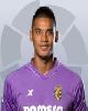 13 - Alphonse Areola