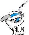 Salva