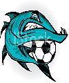 BARRACUDAS
