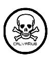 Calvarius