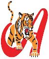 Tigres de Aragua