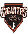 Gigantes del Cibao