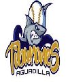 Tiburones de Aguadilla