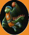 Iguanas