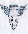 ÁGUILAS CELESTIALES