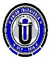 UNION INGENIERIA