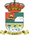 AD SESEÑA CF